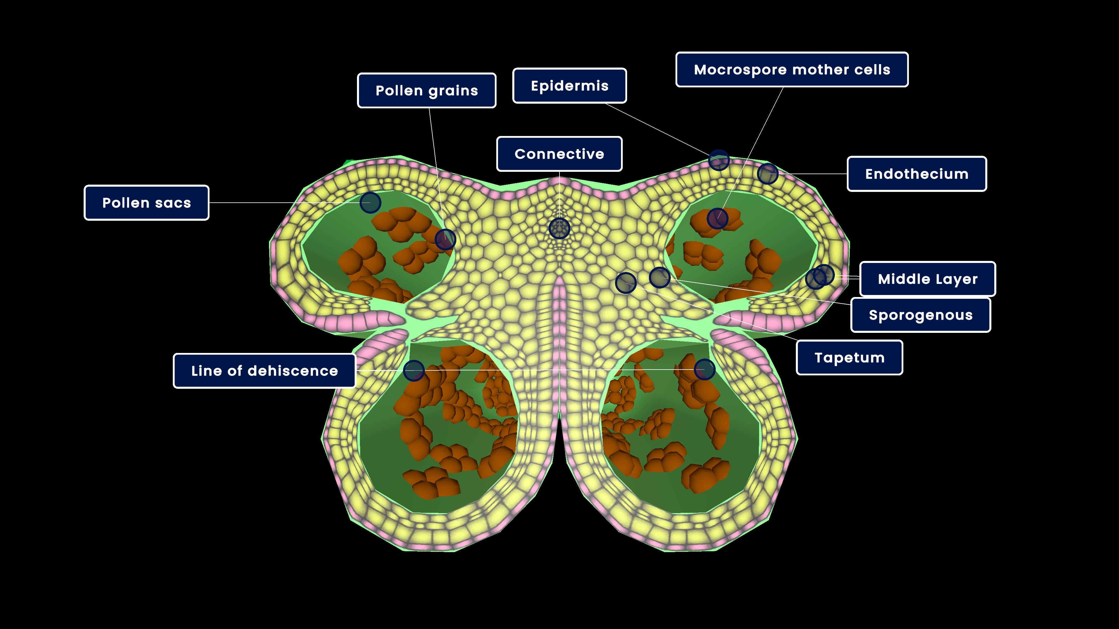 Reproduction and Life Process content category