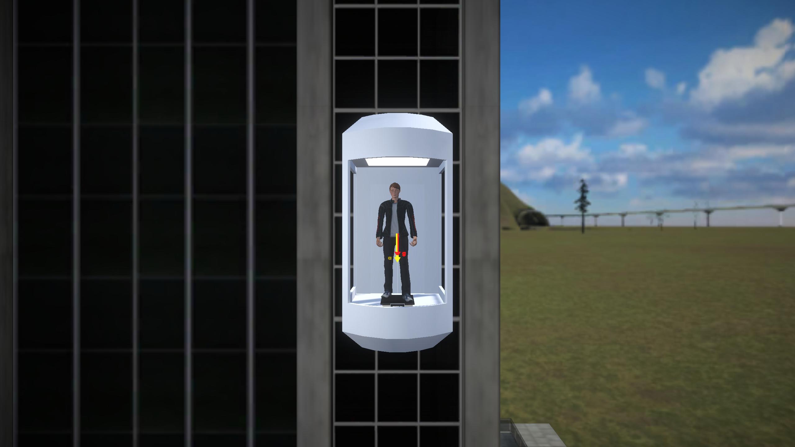 Apparent Mass in an Elevator