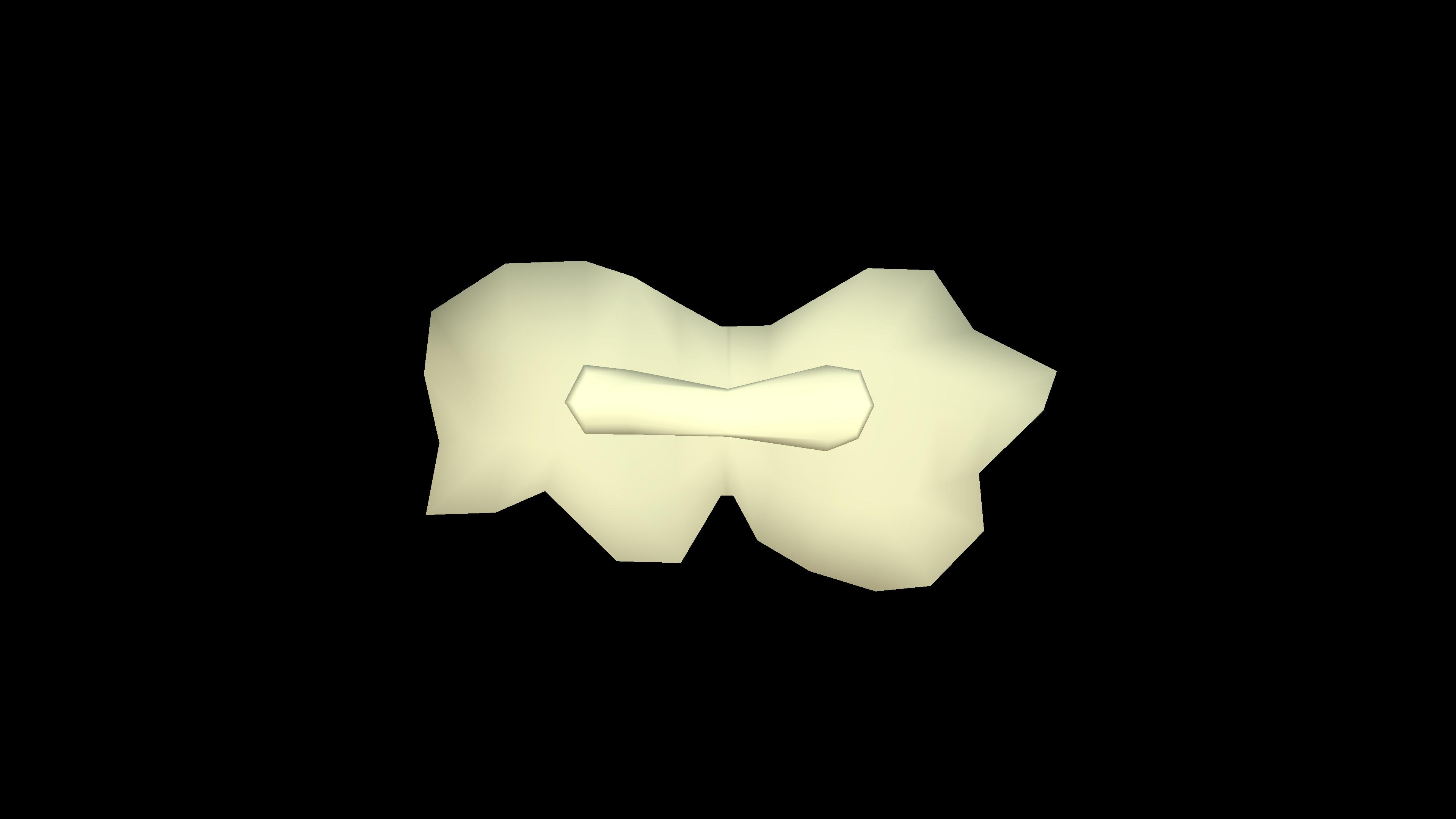 Binary fission in Amoeba