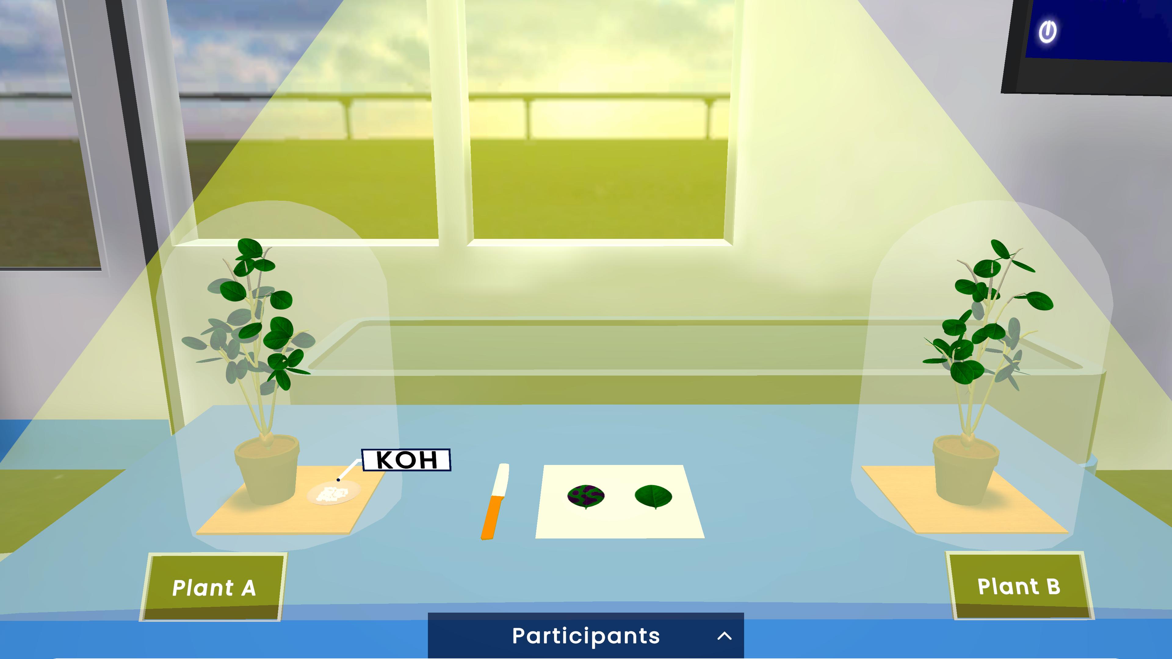 Carbon Dioxide Requirement in Photosynthesis