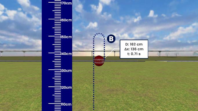 Distance and Displacement in Vertical Motion