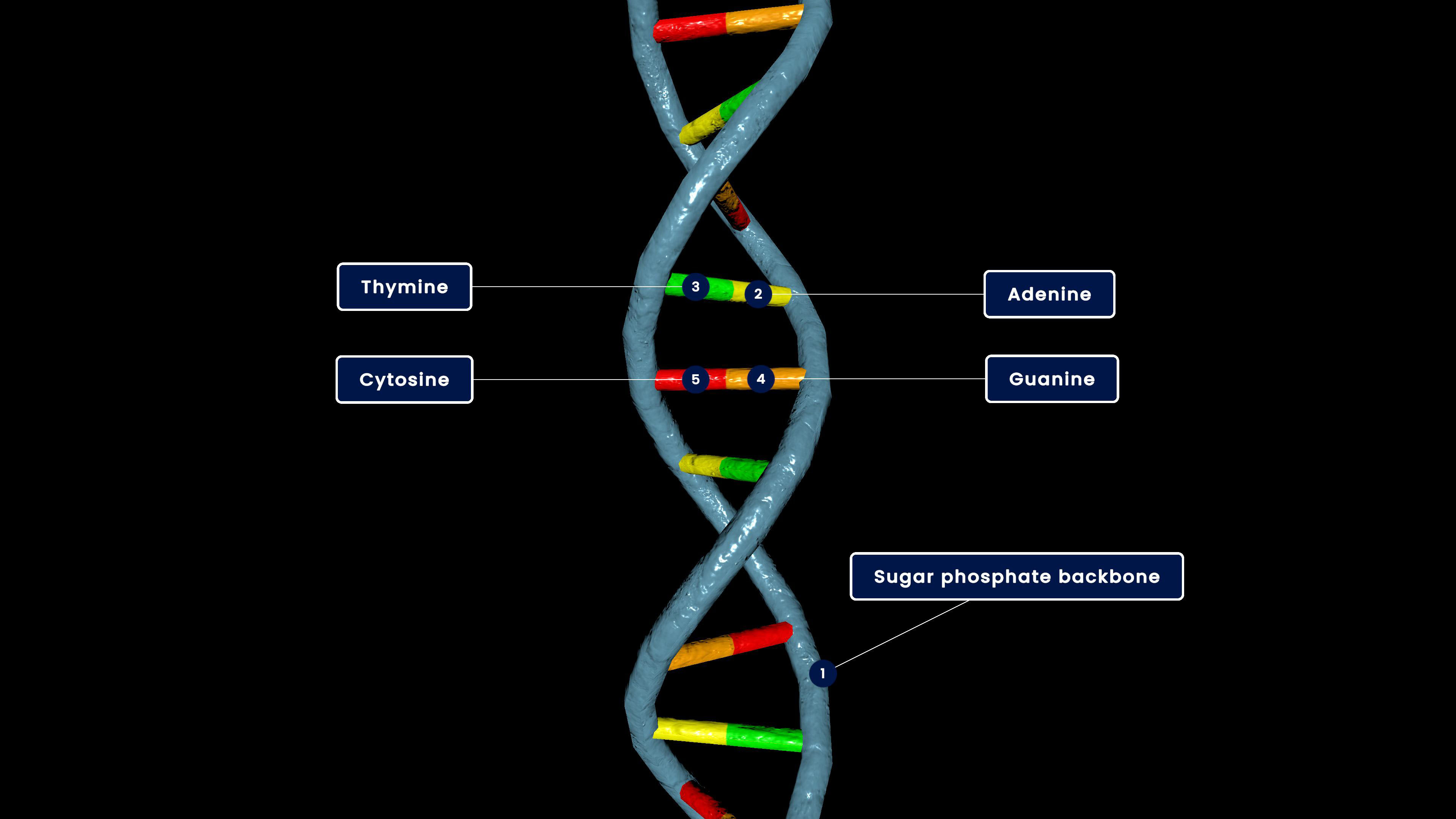Heredity content category