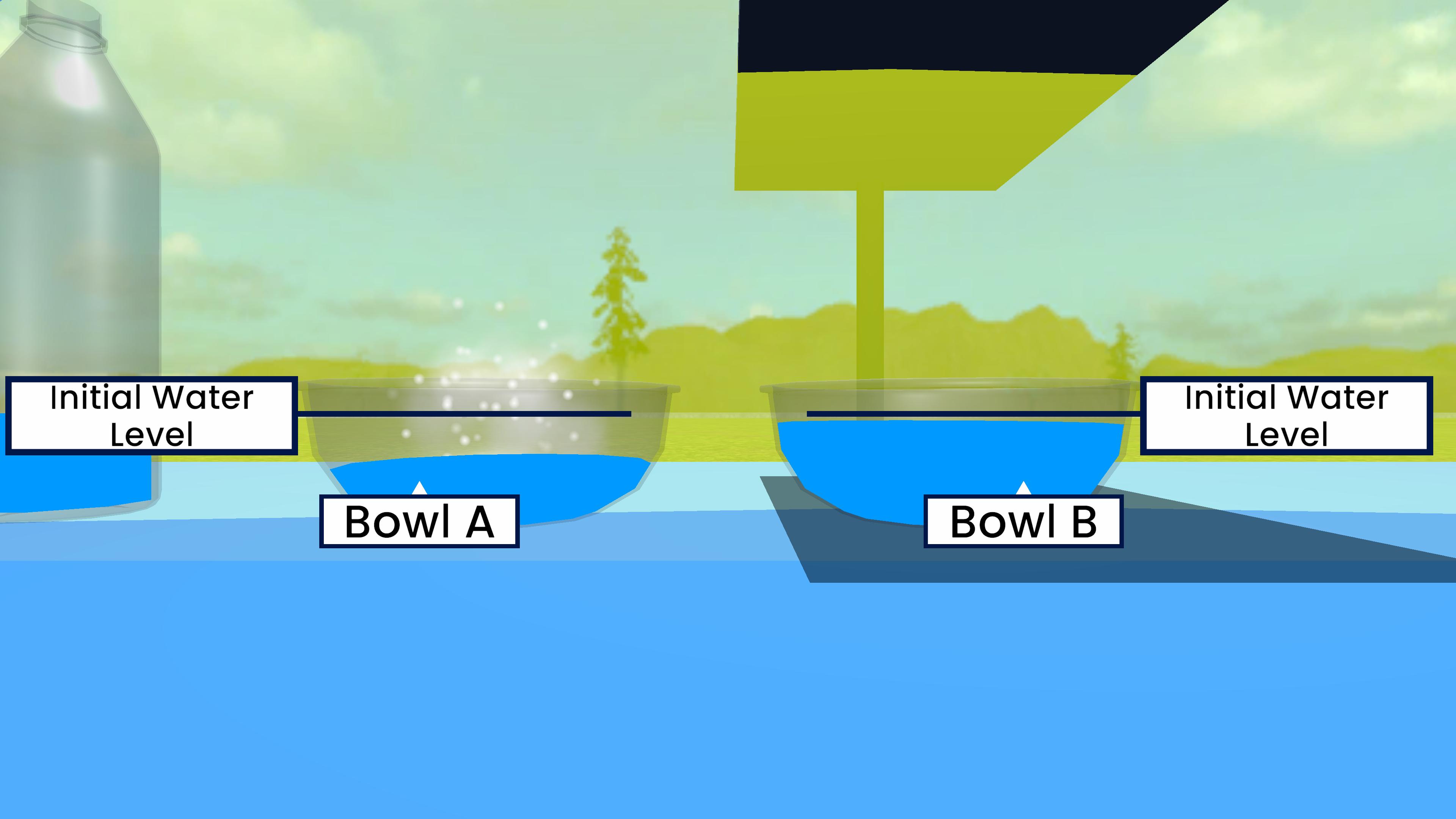 Evaporation of water in sunlight and shade