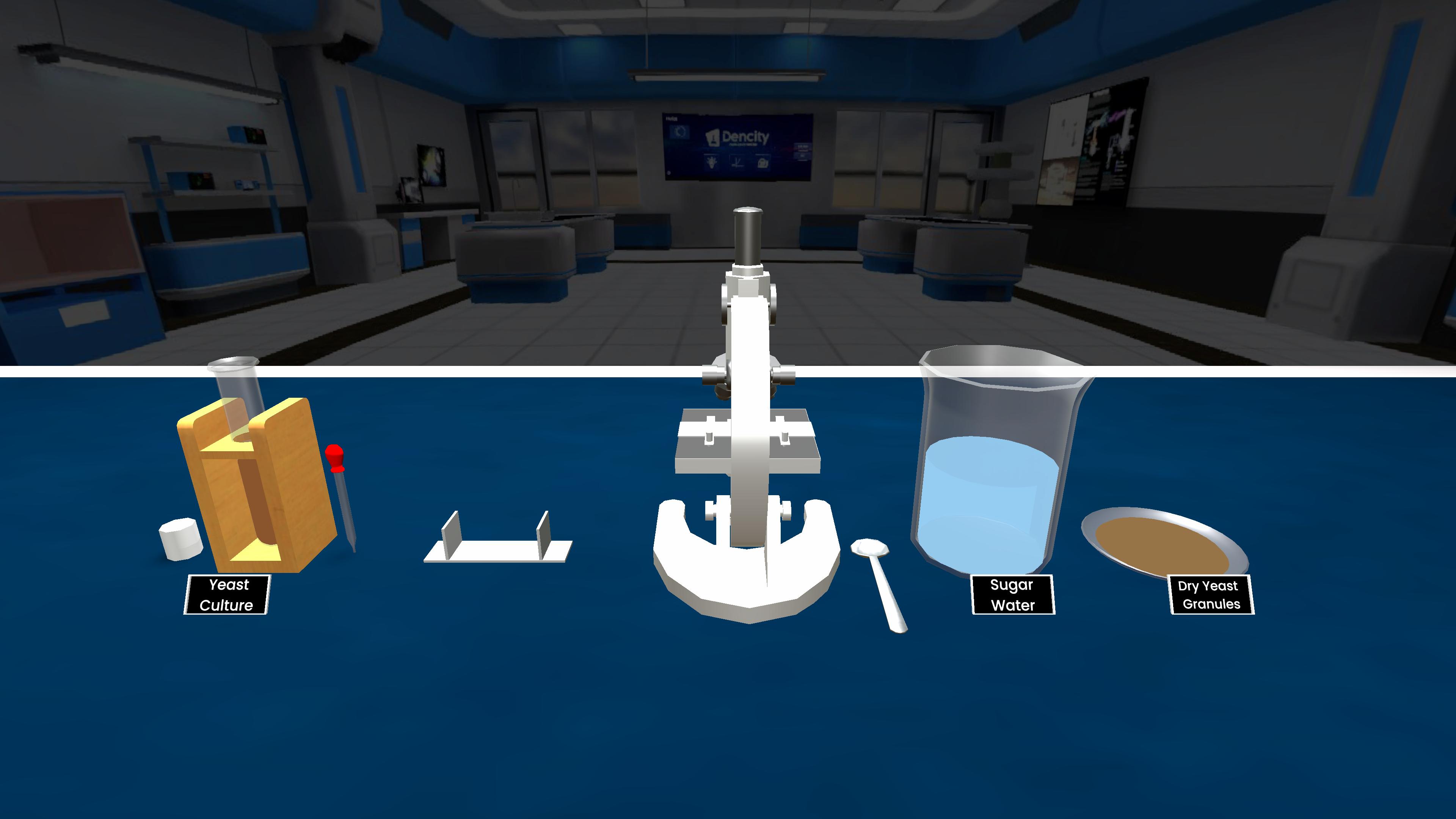 Observation of Budding in Yeast