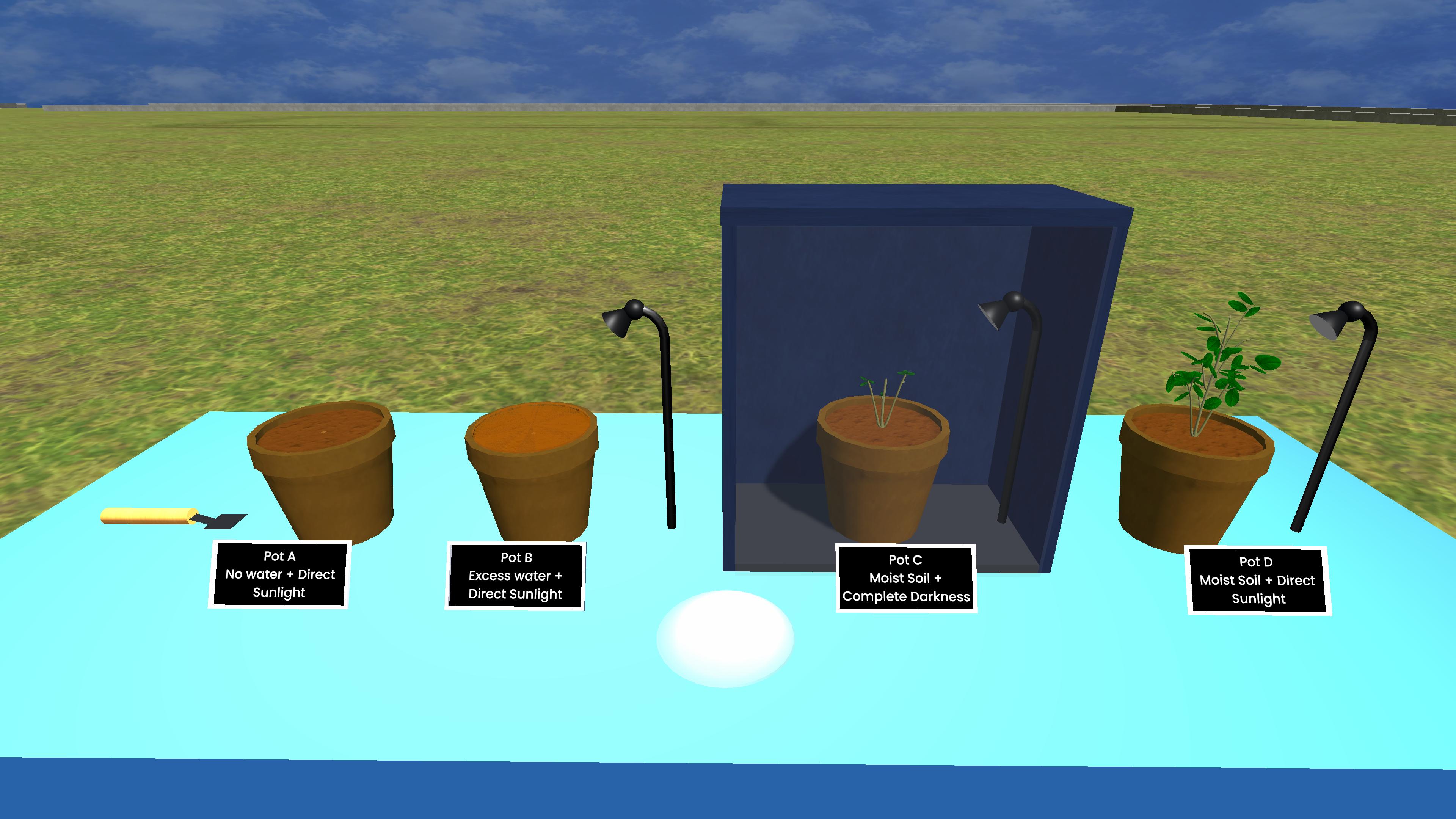 Seed Germination Under Different Conditions