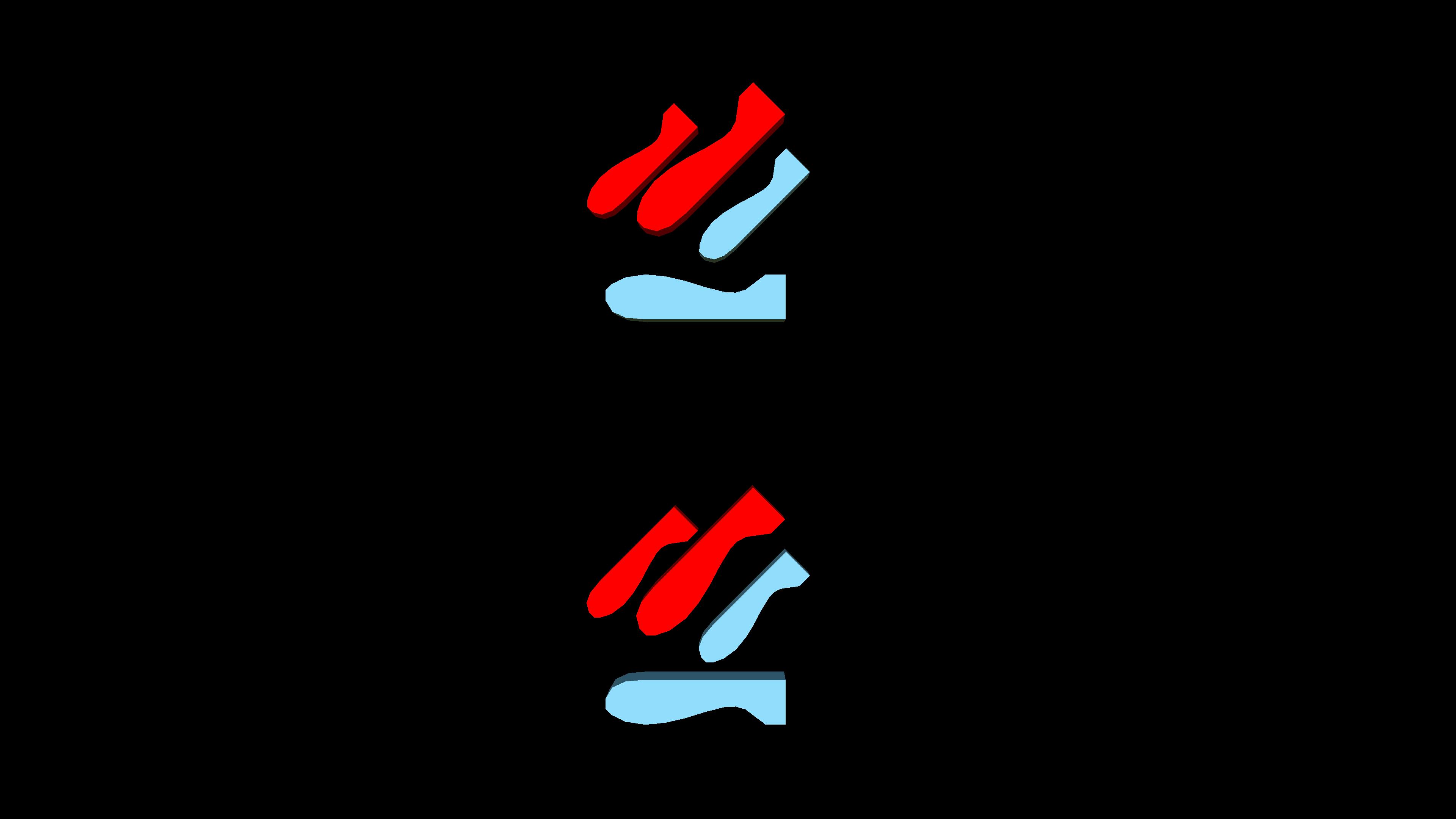 Mitosis
