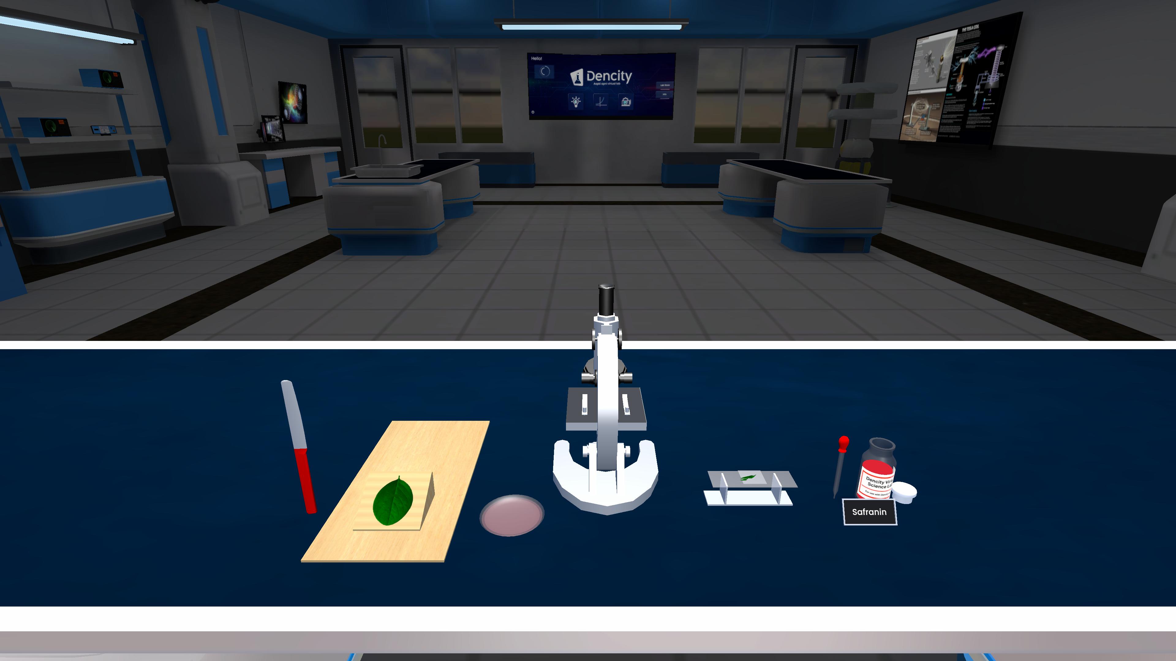 Permanent Tissue - Rhoeo Plant (Microscopic Examination)